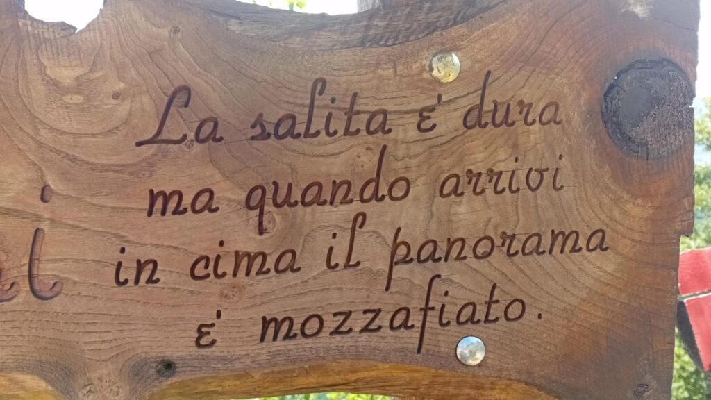 Dettaglio immagine incisione su legno: "La salita è dura ma quando arrivi in cima il panorama è mozzafiato".