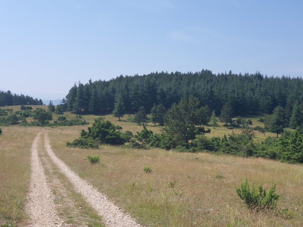 Il Cammino dei Briganti