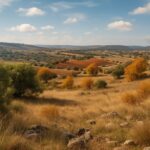 Panorama collinare nel Lazio con vegetazione tipica e campi autunnali